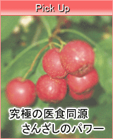 Pick Up-Xŉ\̂̏iEEE