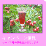 �������R�`���������ł��I�I